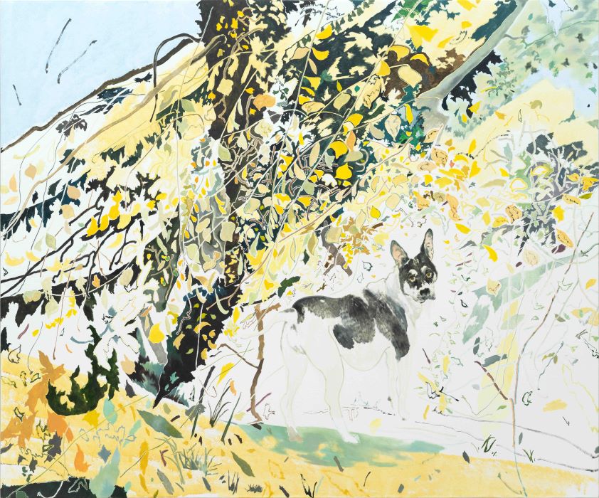 新聞稿｜2024「台北當代藝術博覽會」公布畫廊名單